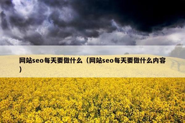 网站seo每天要做什么（网站seo每天要做什么内容）