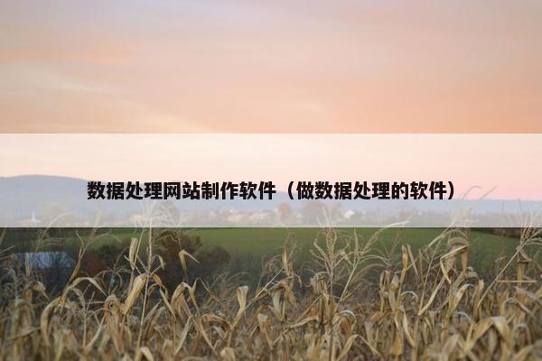 数据处理网站制作软件（做数据处理的软件）