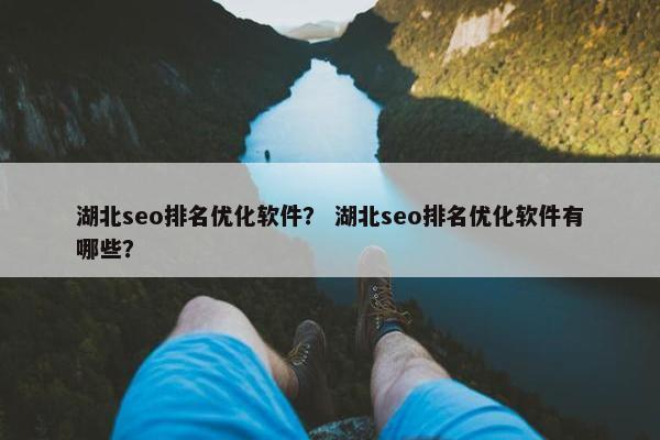 湖北seo排名优化软件？ 湖北seo排名优化软件有哪些？