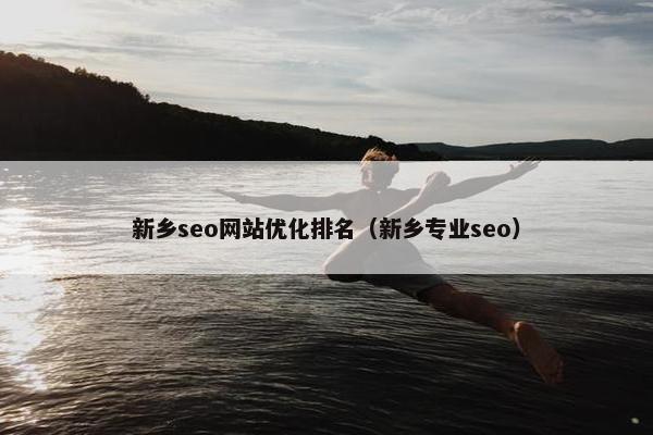新乡seo网站优化排名（新乡专业seo）