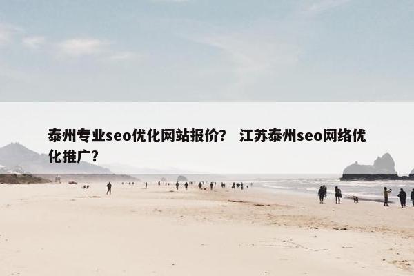 泰州专业seo优化网站报价？ 江苏泰州seo网络优化推广？