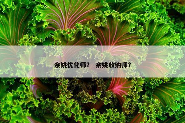 余姚优化师？ 余姚收纳师？