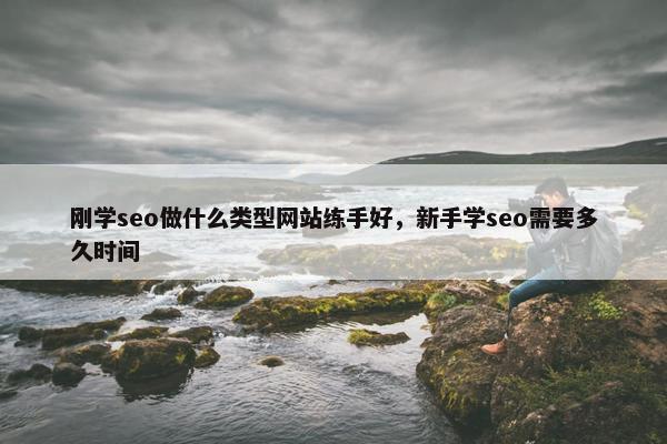 刚学seo做什么类型网站练手好，新手学seo需要多久时间