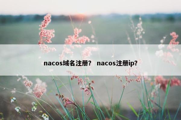 nacos域名注册？ nacos注册ip？