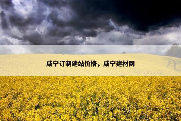 咸宁订制建站价格，咸宁建材网