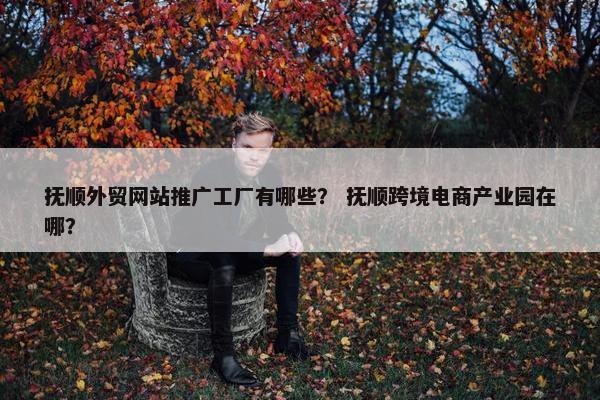 抚顺外贸网站推广工厂有哪些？ 抚顺跨境电商产业园在哪？