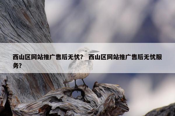 西山区网站推广售后无忧？ 西山区网站推广售后无忧服务？
