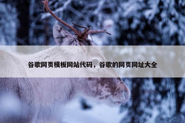 谷歌网页模板网站代码，谷歌的网页网址大全