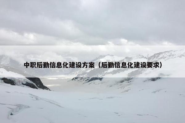 中职后勤信息化建设方案（后勤信息化建设要求）