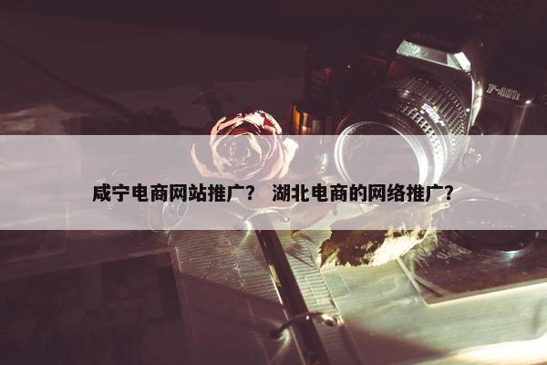 咸宁电商网站推广？ 湖北电商的网络推广？