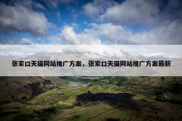 张家口天猫网站推广方案，张家口天猫网站推广方案最新