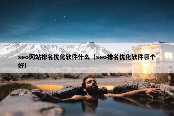 seo网站排名优化软件什么（seo排名优化软件哪个好）