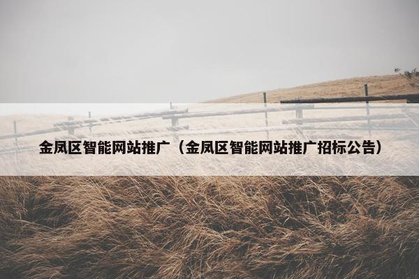 金凤区智能网站推广（金凤区智能网站推广招标公告）
