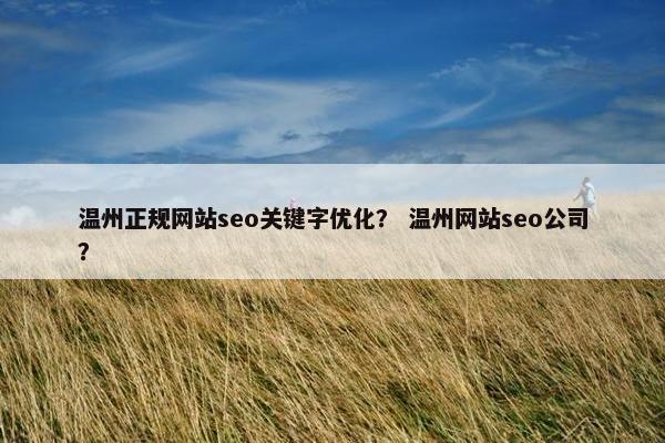 温州正规网站seo关键字优化？ 温州网站seo公司？