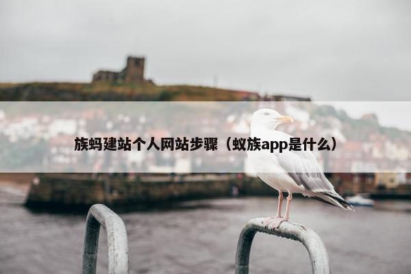 族蚂建站个人网站步骤（蚁族app是什么）