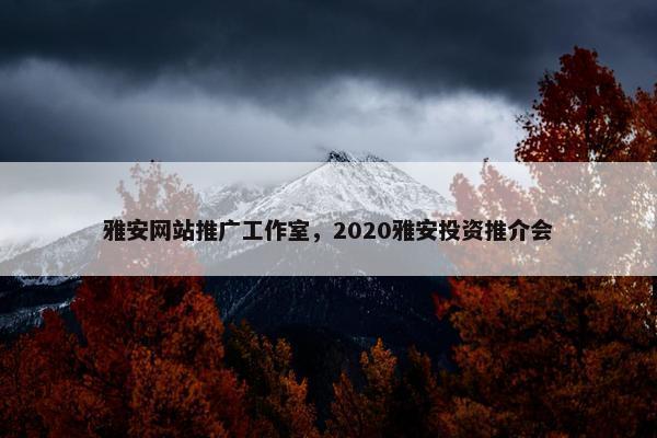 雅安网站推广工作室，2020雅安投资推介会