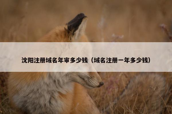 沈阳注册域名年审多少钱（域名注册一年多少钱）