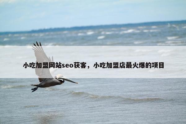 小吃加盟网站seo获客，小吃加盟店最火爆的项目