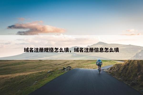 域名注册规格怎么填，域名注册信息怎么填