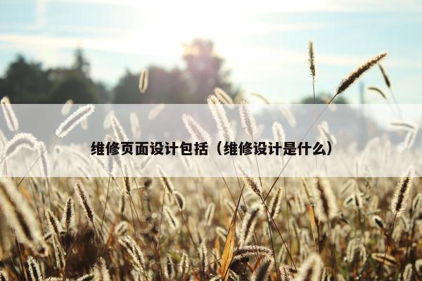 维修页面设计包括（维修设计是什么）
