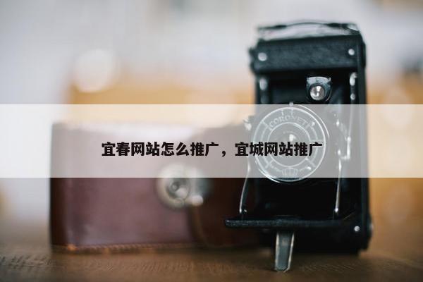 宜春网站怎么推广，宜城网站推广