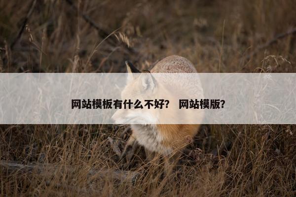网站模板有什么不好？ 网站模版？