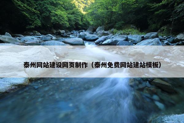 泰州网站建设网页制作（泰州免费网站建站模板）