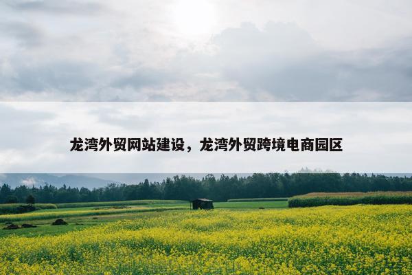 龙湾外贸网站建设，龙湾外贸跨境电商园区