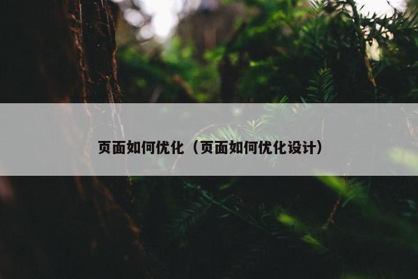 页面如何优化（页面如何优化设计）