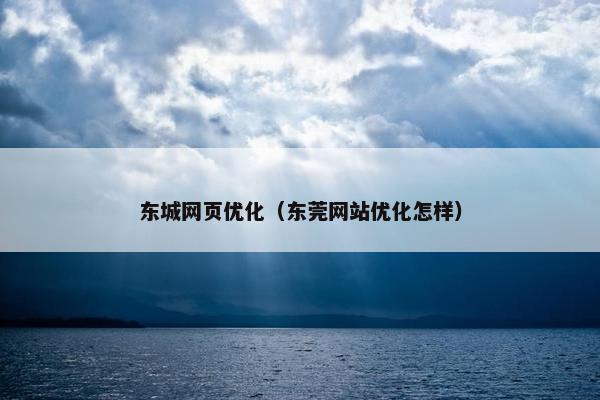 东城网页优化（东莞网站优化怎样）
