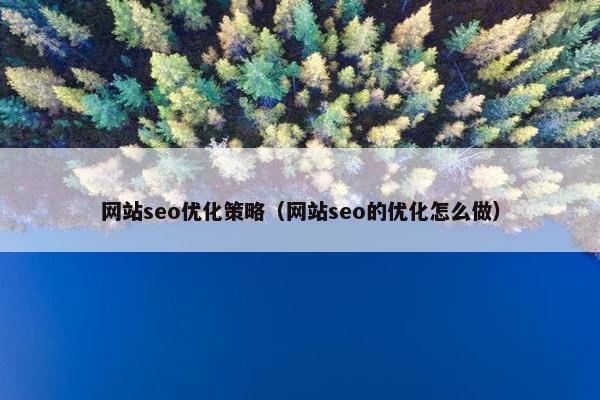 网站seo优化策略（网站seo的优化怎么做）