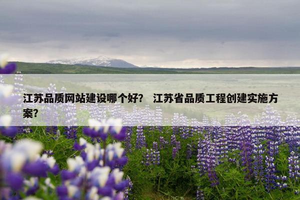 江苏品质网站建设哪个好？ 江苏省品质工程创建实施方案？
