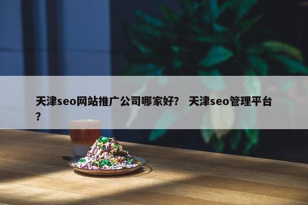 天津seo网站推广公司哪家好？ 天津seo管理平台？