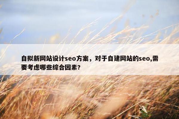 自拟新网站设计seo方案，对于自建网站的seo,需要考虑哪些综合因素?