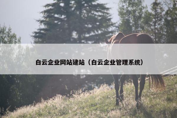 白云企业网站建站（白云企业管理系统）
