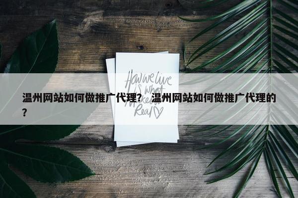 温州网站如何做推广代理？ 温州网站如何做推广代理的？