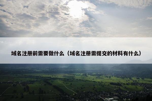 域名注册前需要做什么（域名注册需提交的材料有什么）