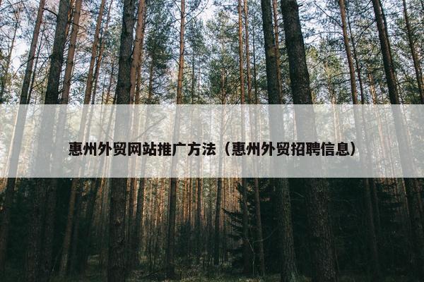 惠州外贸网站推广方法(惠州外贸招聘信息) 惠州外贸网站推广方法(惠州外贸招聘信息)