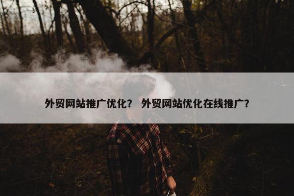 外贸网站推广优化？ 外贸网站优化在线推广？
