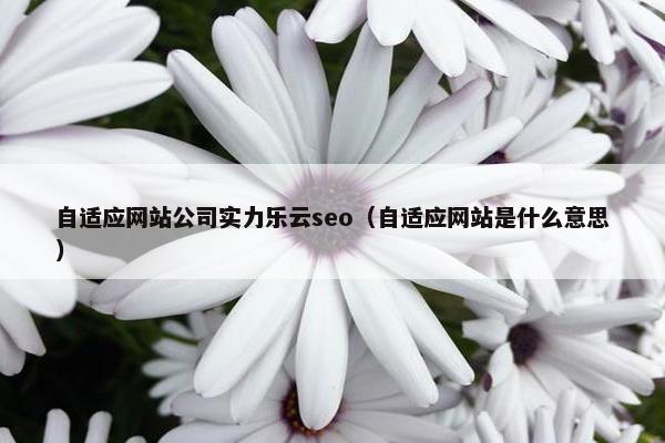 自适应网站公司实力乐云seo（自适应网站是什么意思）