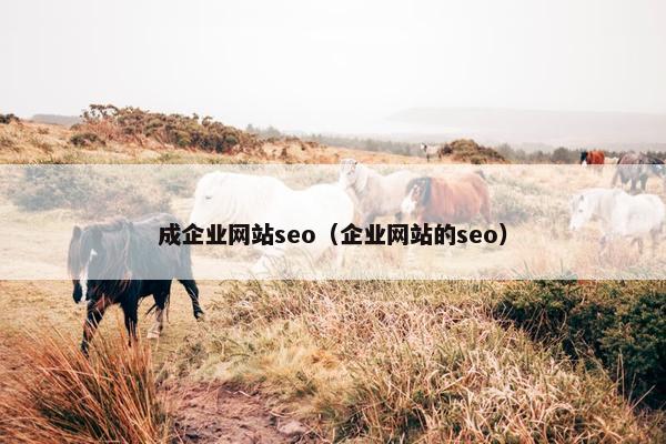 成企业网站seo（企业网站的seo）