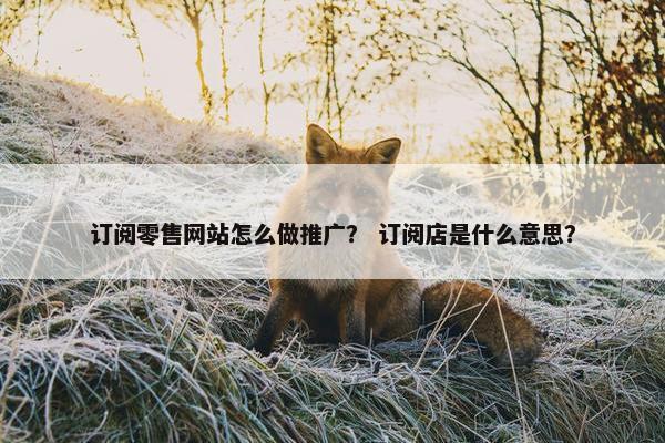 订阅零售网站怎么做推广？ 订阅店是什么意思？