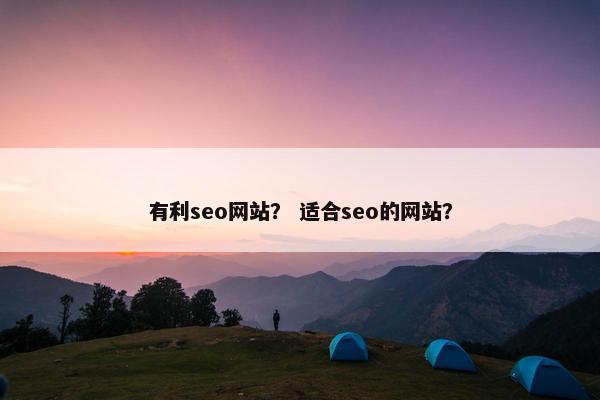 有利seo网站？ 适合seo的网站？