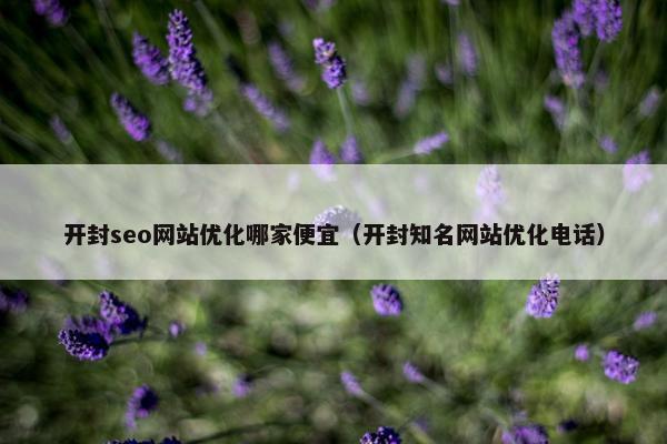 开封seo网站优化哪家便宜（开封知名网站优化电话）