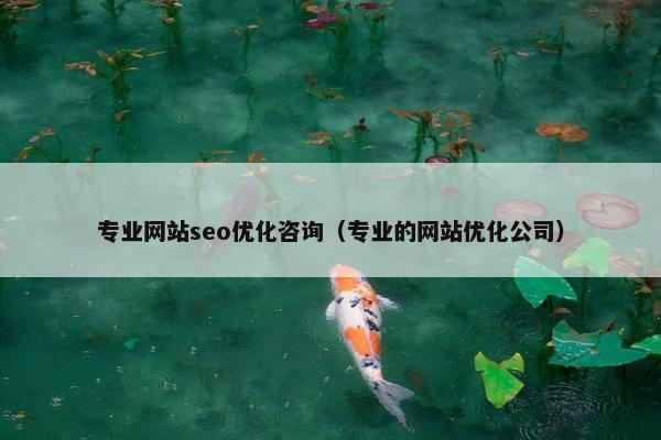 专业网站seo优化咨询（专业的网站优化公司）