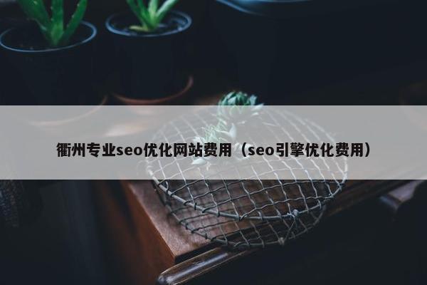 衢州专业seo优化网站费用（seo引擎优化费用）