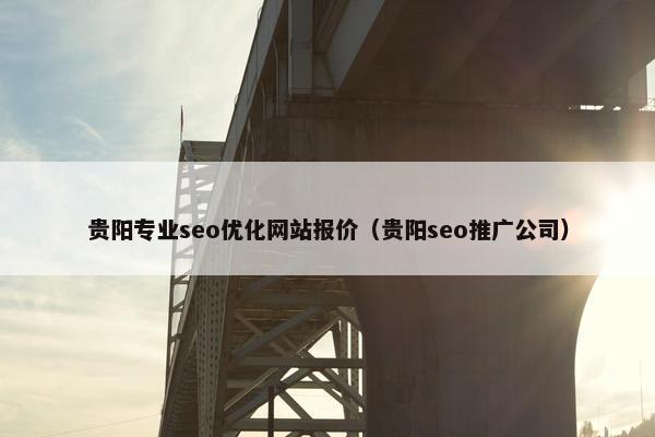 贵阳专业seo优化网站报价（贵阳seo推广公司）