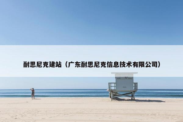 耐思尼克建站（广东耐思尼克信息技术有限公司）