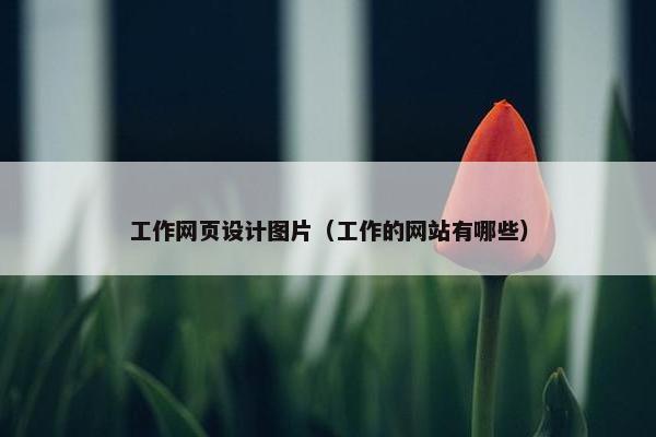 工作网页设计图片(工作的网站有哪些) 工作网页设计图片(工作的网站有哪些)