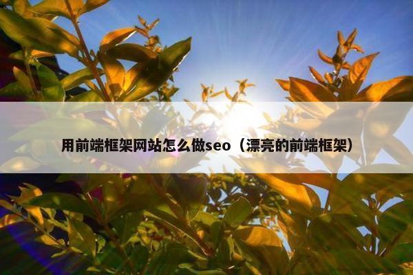 用前端框架网站怎么做seo（漂亮的前端框架）